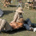 Ліжко складане Naturehike XJC05 NH20JJ001, Поліестер Oxford / алюміній, зелений (6927595768587)