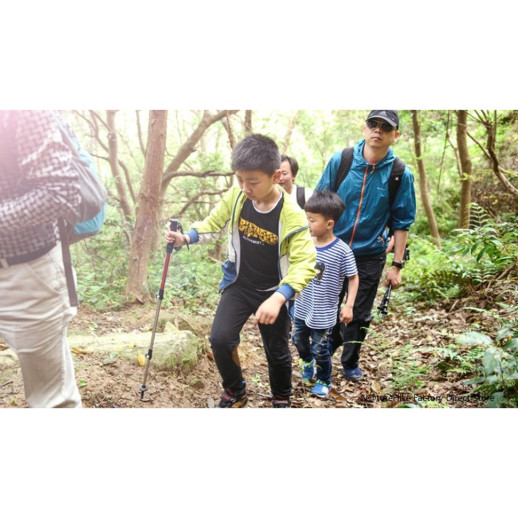 Трекінгова палиця 3-сек. Naturehike 6061 AL NH17D001-Z, 50-100 см, алюміній, червона