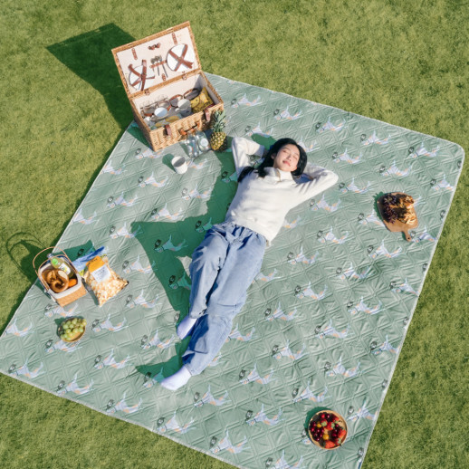 Килимок для пікніка Naturehike CNK2350WS010 170*200 см, блакитний із принтом
