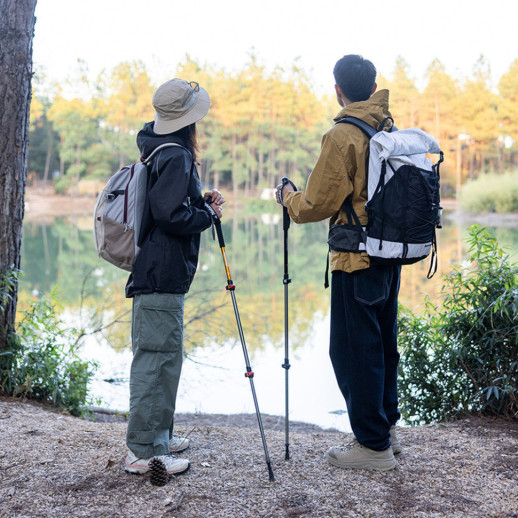Трекінгові палиці 2шт Naturehike Men ST 01 6061 AL NH17D001-Z, 3-сек., алюміній, сині