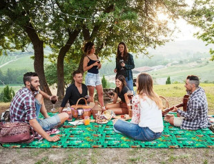 Килимок для пікніка Naturehike C042 200 х 180 см NH19D024-Z green forest