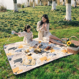 Килимок для пікніка Naturehike Picnic mat L 210 * 240 NH21FCD01 pet