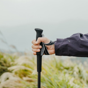 Трекінгова палиця Naturehike CNK2450DS017, 120 см, сіра