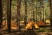 Палатка Naturehike Star-River 2 Updated NH17T012-T, 210T сверхлегкая двухместная с футпринтом, оранжевая