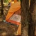 Палатка Naturehike Star-River 2 Updated NH17T012-T, 210T сверхлегкая двухместная с футпринтом, оранжевая