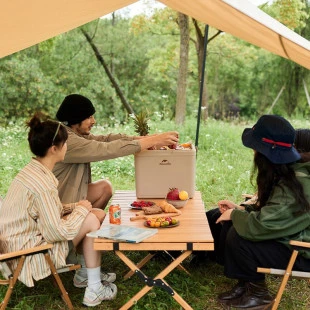 Туристический холодильник Naturehike CNK2300BS011, 13 л, бежевый