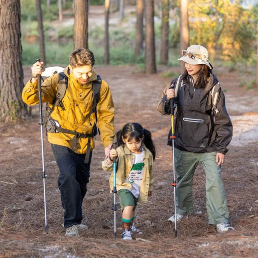 Трекинговая палка Naturehike ST 01 6061 3-секции, 1шт. (NH17D001-Z) голубой