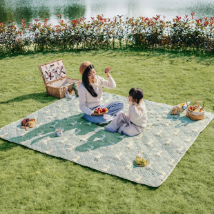 Коврик для пикника Naturehike CNK2350WS010 210*240 см, голубой с принтом