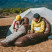 Спальник с натуральным пухом Naturehike Snowbird CNK2550WS014, р-р L, темно-коричневый 400 г