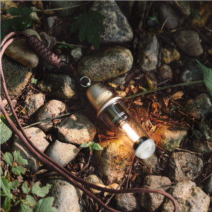 Фонарь кемпинговый Naturehike CNK2350ZM010, 118х39мм, коричневый