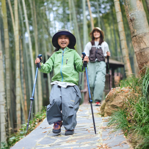 Трекинговая палка 3-сек. Naturehike CNK2550DS010, 55-120 см, алюминий, зеленая