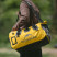 Водонепроницаемая дорожная сумка Naturehike CNK2450XB015, 90 л, желтая