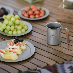 Тарелка плоская Naturehike NH21SJ001, нержавеющая сталь