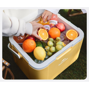 Туристический холодильник Naturehike CNK2450CF012, 18 л, зеленый