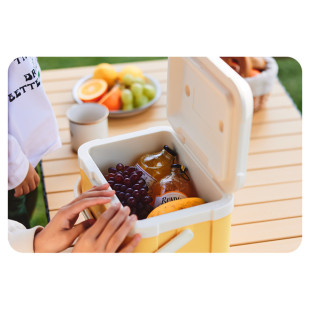 Туристический холодильник Naturehike CNK2450CF012, 5 л, бежевый