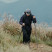 Трекинговая палка Naturehike CNK2450DS017, 130 см, черная