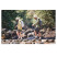 Трекинговая палка Naturehike CNK2550DS012, 61-125 см, синяя