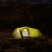 Палатка двухместная Naturehike Opalus, UL, CNK2450WS036, темно-зеленая