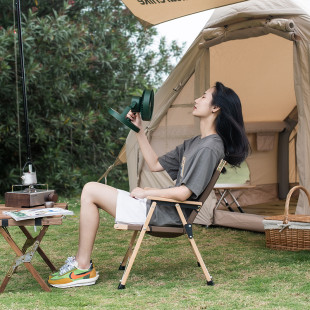 Вентилятор-лампа Naturehike NH21ZM003, зеленый