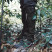 Защитные водонепроницаемые бахилы Naturehike CNK2450DS011, размер L, черные
