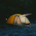 Палатка трехместная Naturehike CNK2300ZP024, красная