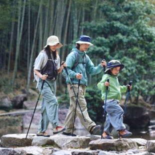 Трекинговая телескопическая палка Naturehike CNK2550DS010 Sunlit Terk Base, 60-135 см, зеленая