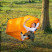 Гамак с дугами без опрокидывания Naturehike NH22DC008, оранжевый