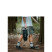 Кресло складное Naturehike Clamshell 001 Triangle Folding Moon Chair, черный